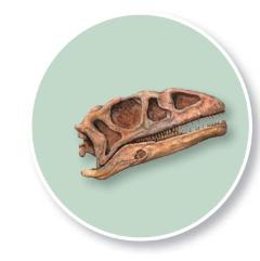 pagenumber_ebook=77,pagenumber_book=66