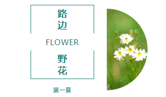 2 2.png?v=1763156955103