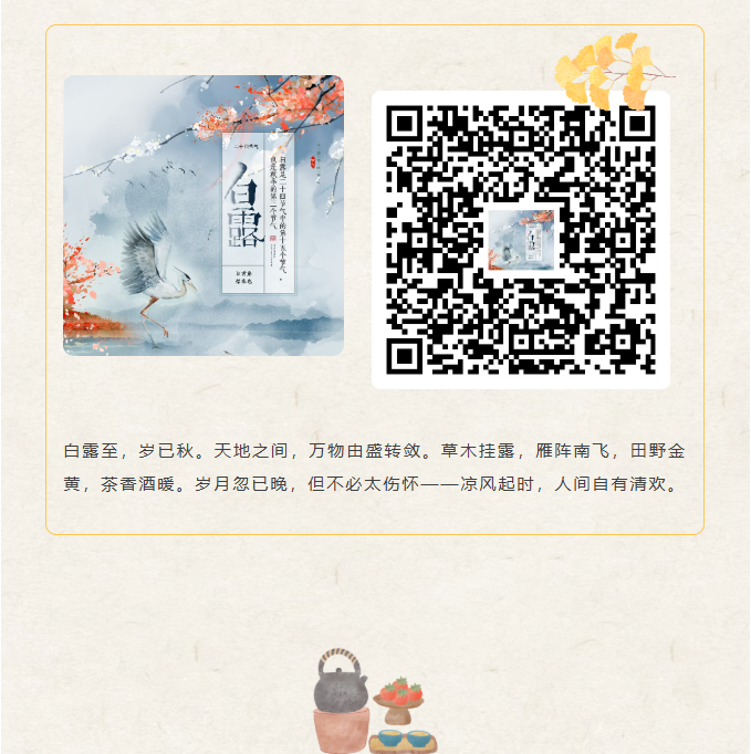image.png?v=1788858041626