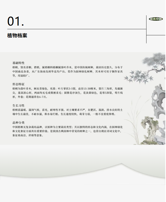 image.png?v=1766278521081