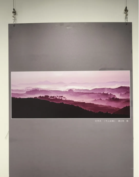 ffc5d532286035b112a6202c5f51662.png