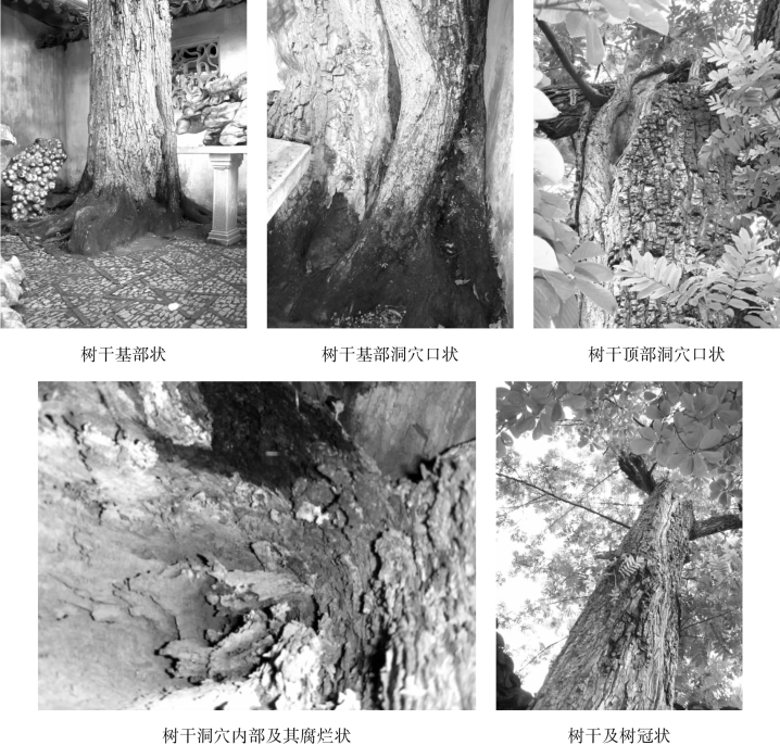 pagenumber_ebook=79,pagenumber_book=79