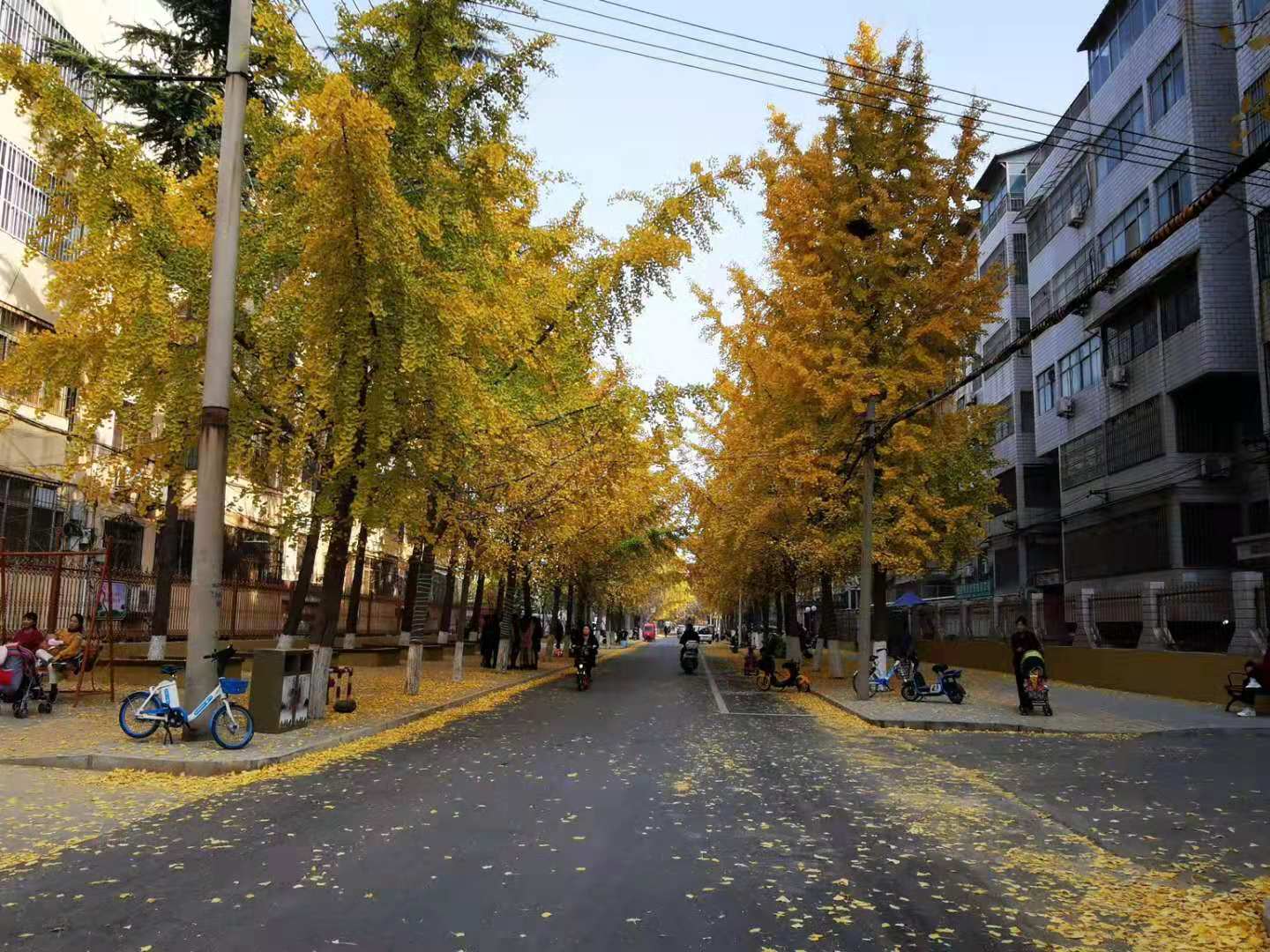 微信图片_202012141726182