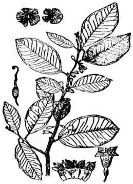 pagenumber_ebook=153,pagenumber_book=153