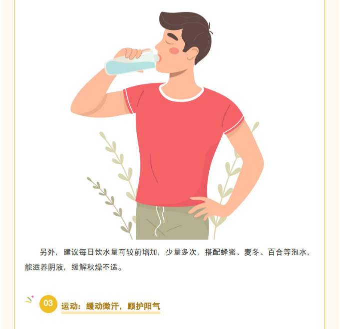image.png?v=1787517389136