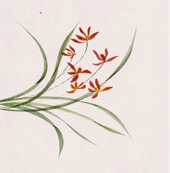 image.png?v=1762124792502