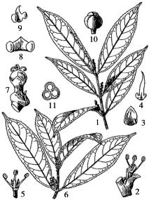 pagenumber_ebook=173,pagenumber_book=173