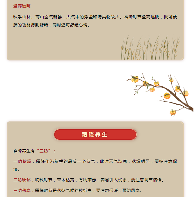 image.png?v=1750226782663
