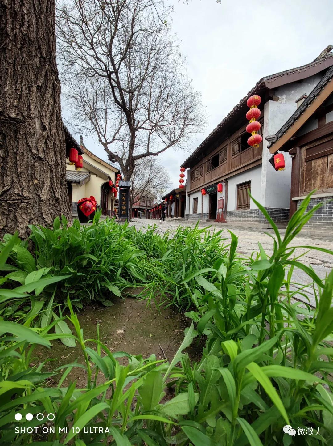 微信图片_20210406105839