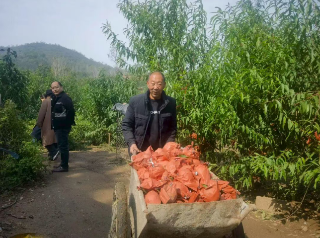 40434bc608ab5a3eb8effe989aa518a8 40434bc608ab5a3eb8effe989aa518a8.png