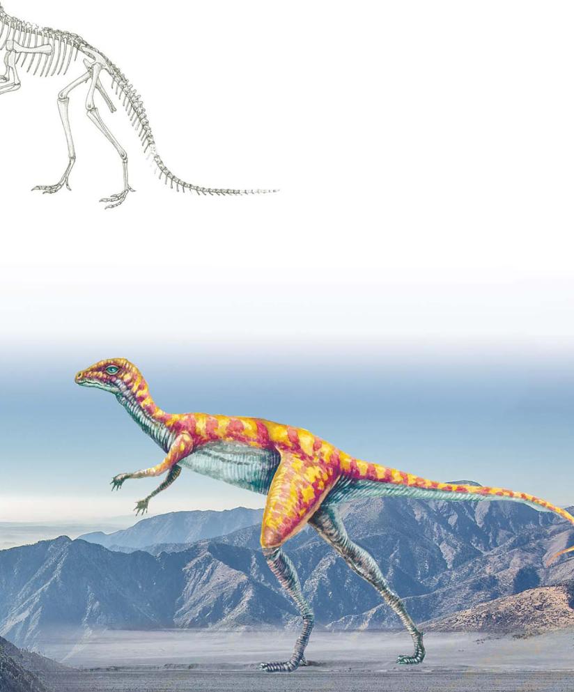 pagenumber_ebook=76,pagenumber_book=65