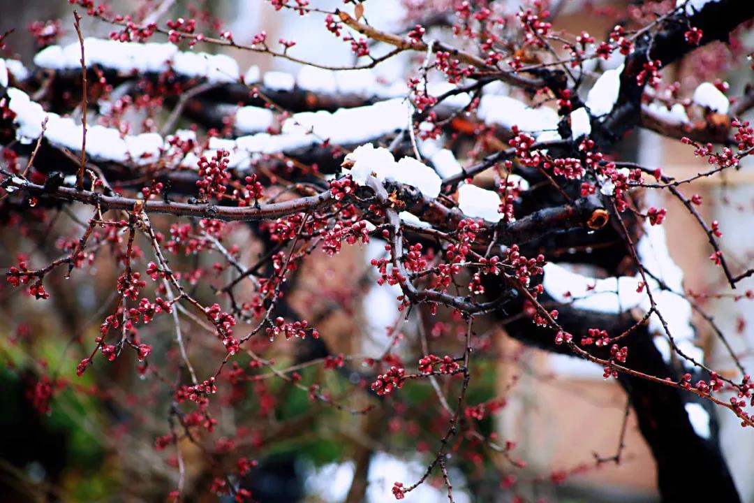 微信图片_20210301084909 微信图片_20210301084909.jpg