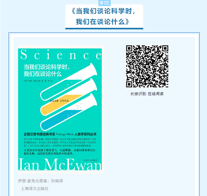 image image.png?v=1763585031795