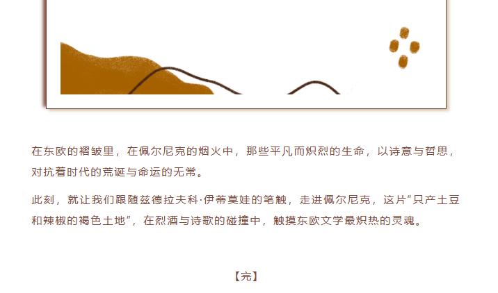 image.png?v=1770177741335