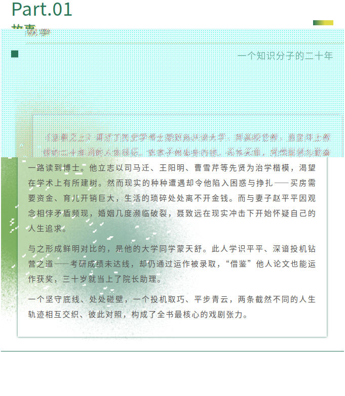 image.png?v=1785033049155