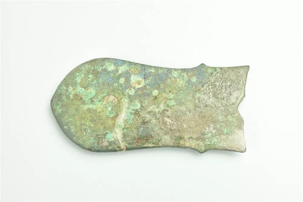 微信图片_20201022123949