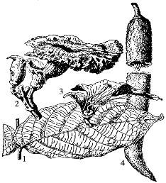 pagenumber_ebook=88,pagenumber_book=88