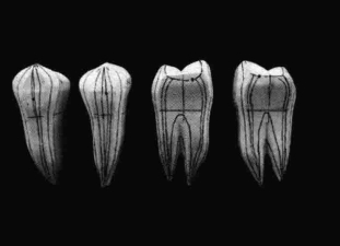 pagenumber_ebook=204,pagenumber_book=195
