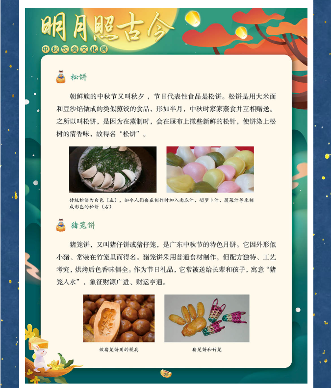 image.png?v=1762100189563