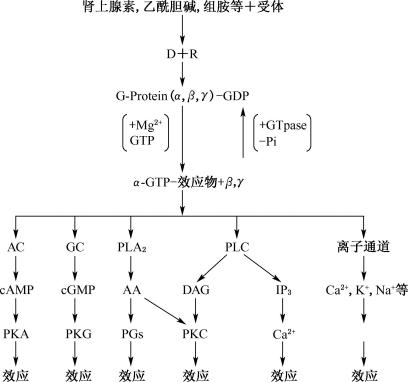 width=355,height=333,dpi=110