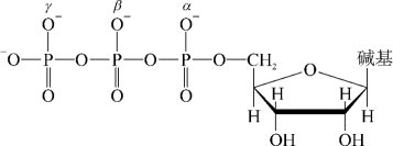 pagenumber_ebook=200,pagenumber_book=187