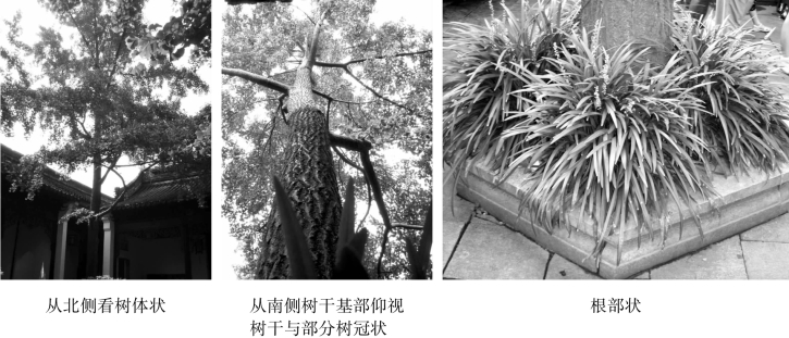 pagenumber_ebook=110,pagenumber_book=110