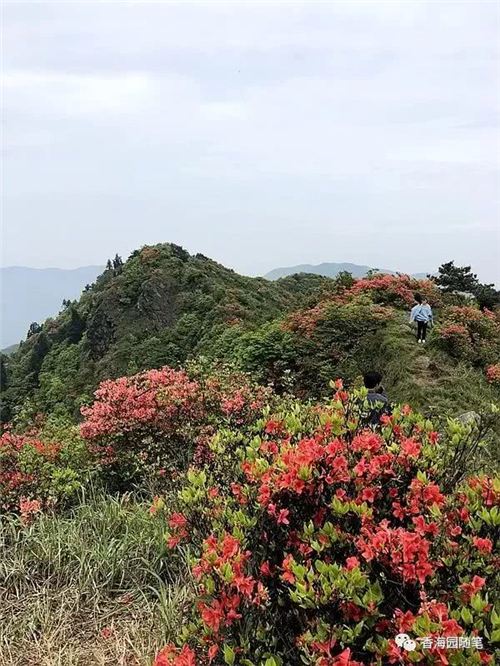 1000 (1) 1000 (1).jpg