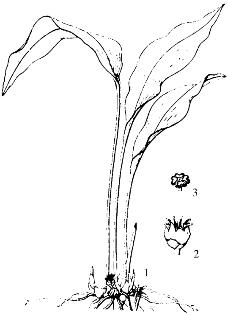 pagenumber_ebook=268,pagenumber_book=268