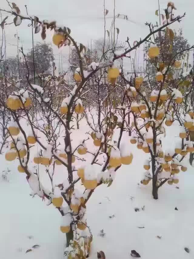 微信图片_20200923173720