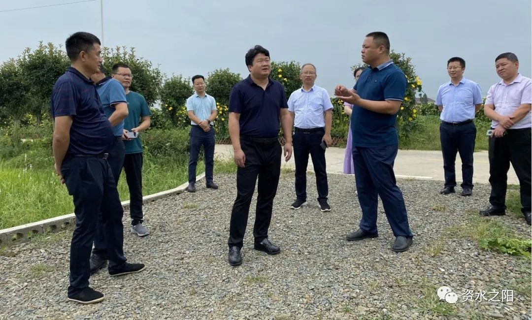 2 2.jpg?v=1765880647888