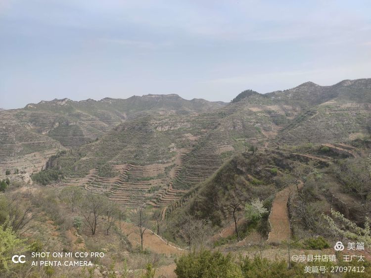 微信图片_20210420104739 微信图片_20210420104739.jpg