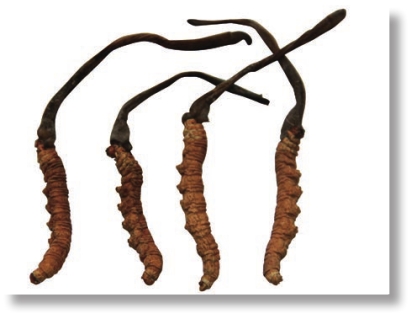 pagenumber_ebook=272,pagenumber_book=259