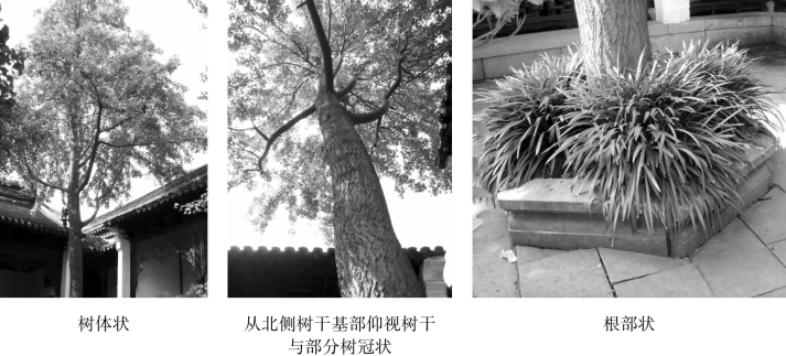 pagenumber_ebook=110,pagenumber_book=110