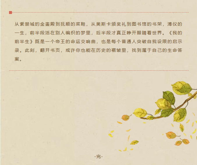 image.png?v=1762073801073