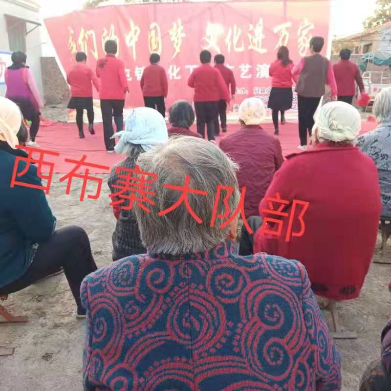 “我们的中国梦 文化进万家” 甘官屯镇文化下乡文艺演出走进西布寨村