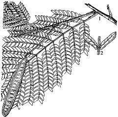 pagenumber_ebook=91,pagenumber_book=91