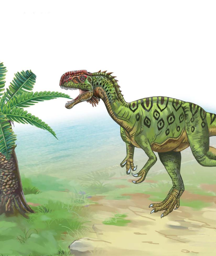 pagenumber_ebook=96,pagenumber_book=85