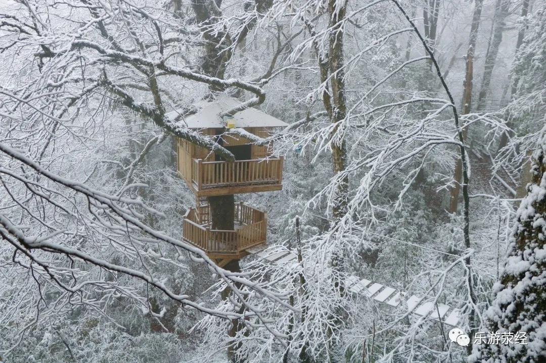 微信图片_20201204152654