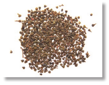 pagenumber_ebook=130,pagenumber_book=117