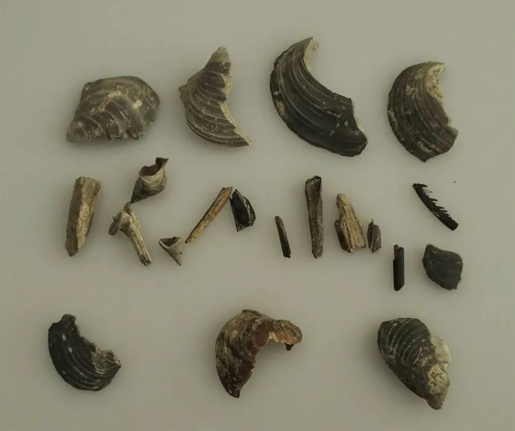 微信图片_20220505094408 微信图片_20220505094408.jpg