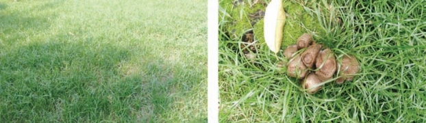 pagenumber_ebook=142,pagenumber_book=134