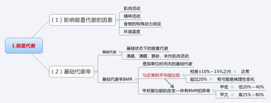 能量代谢.jpg