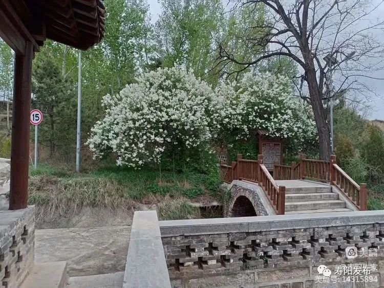 fcd25707cb301f4f54c07357092901b4_640_wx_fmt=jpeg&wxfrom=5&wx_lazy=1&wx_co=1 fcd25707cb301f4f54c07357092901b4_640_wx_fmt=jpeg&wxfrom=5&wx_lazy=1&wx_co=1.jpg