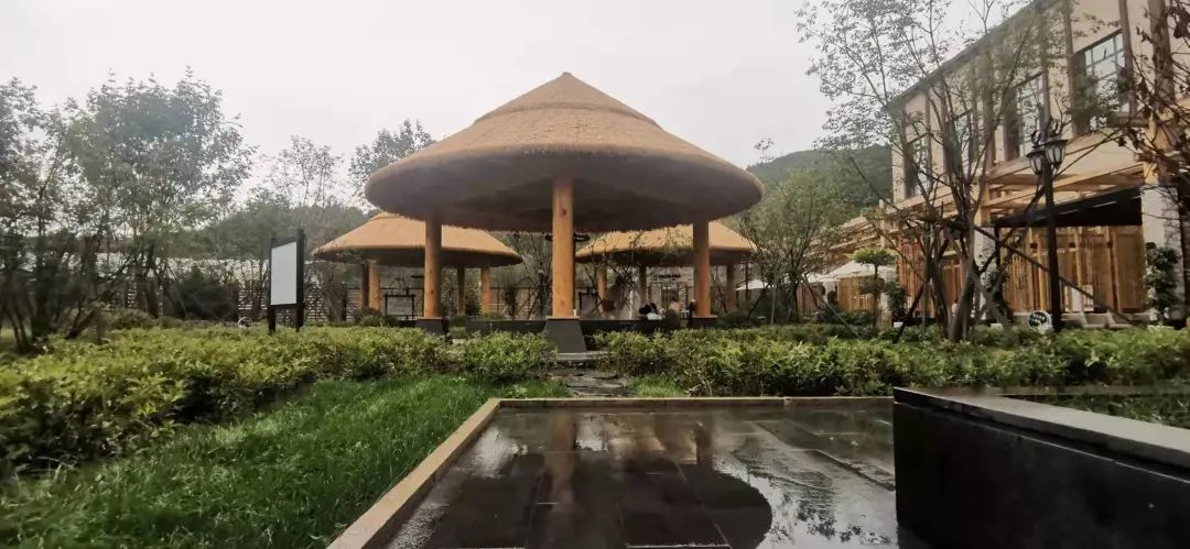 微信图片_20211116115226