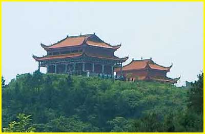 20170623095436_ri2nft91ki 20170623095436_ri2nft91ki.jpg?v=1762201260604