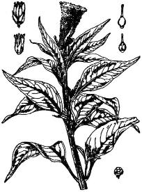 pagenumber_ebook=198,pagenumber_book=198