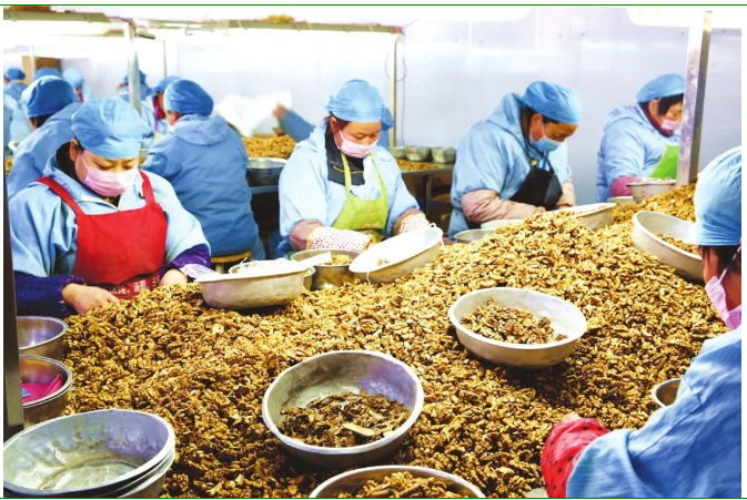 1702870117601 1702870117601.png