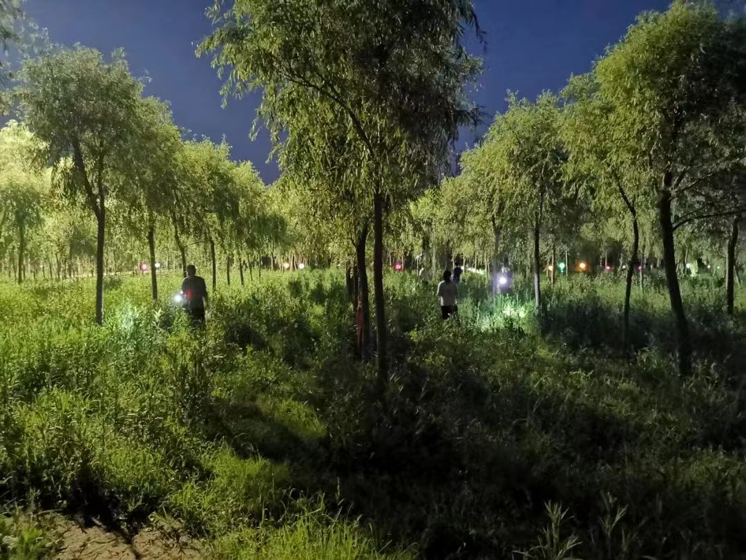 702804475 702804475.jpg