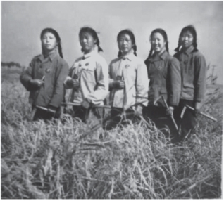 pagenumber_ebook=216,pagenumber_book=204