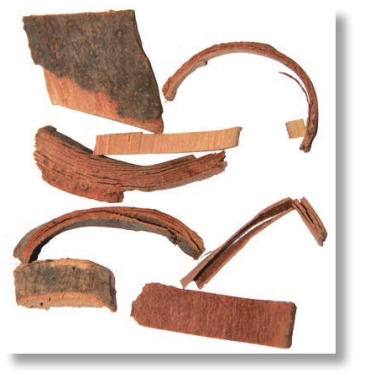 pagenumber_ebook=49,pagenumber_book=36